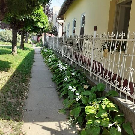 Marika Vendeghaz Apartment Abadszalok Exterior photo