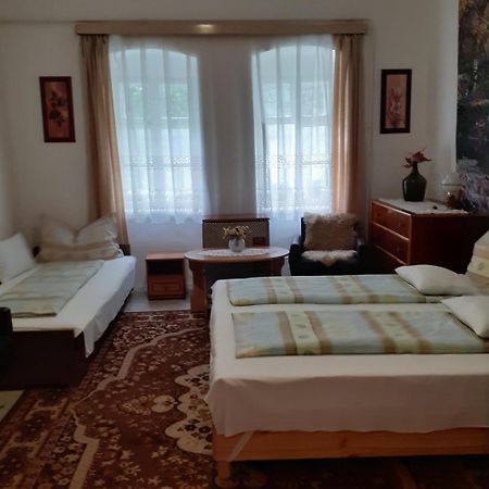 Marika Vendeghaz Apartment Abadszalok Exterior photo
