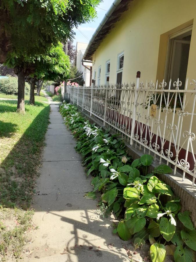 Marika Vendeghaz Apartment Abadszalok Exterior photo
