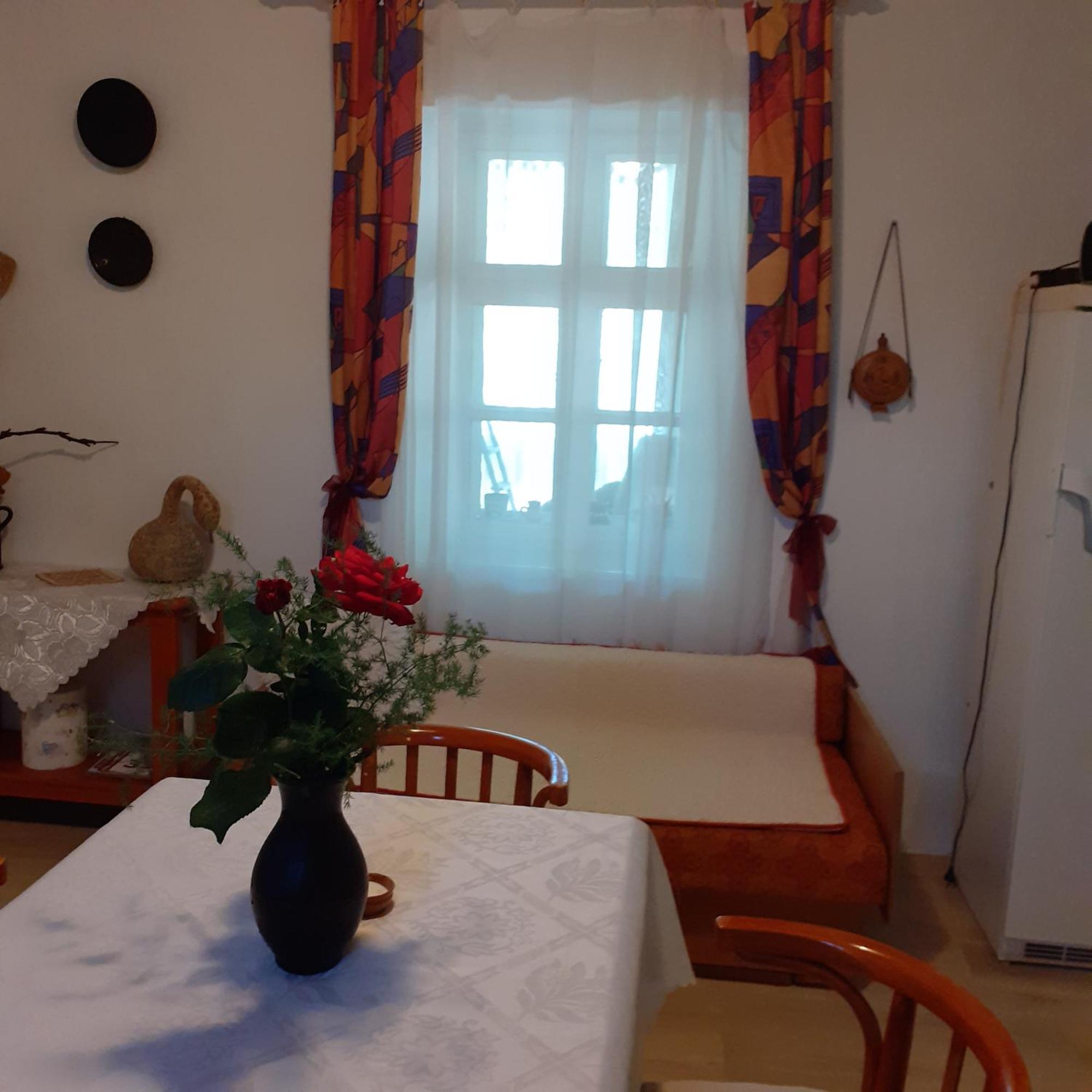 Marika Vendeghaz Apartment Abadszalok Exterior photo