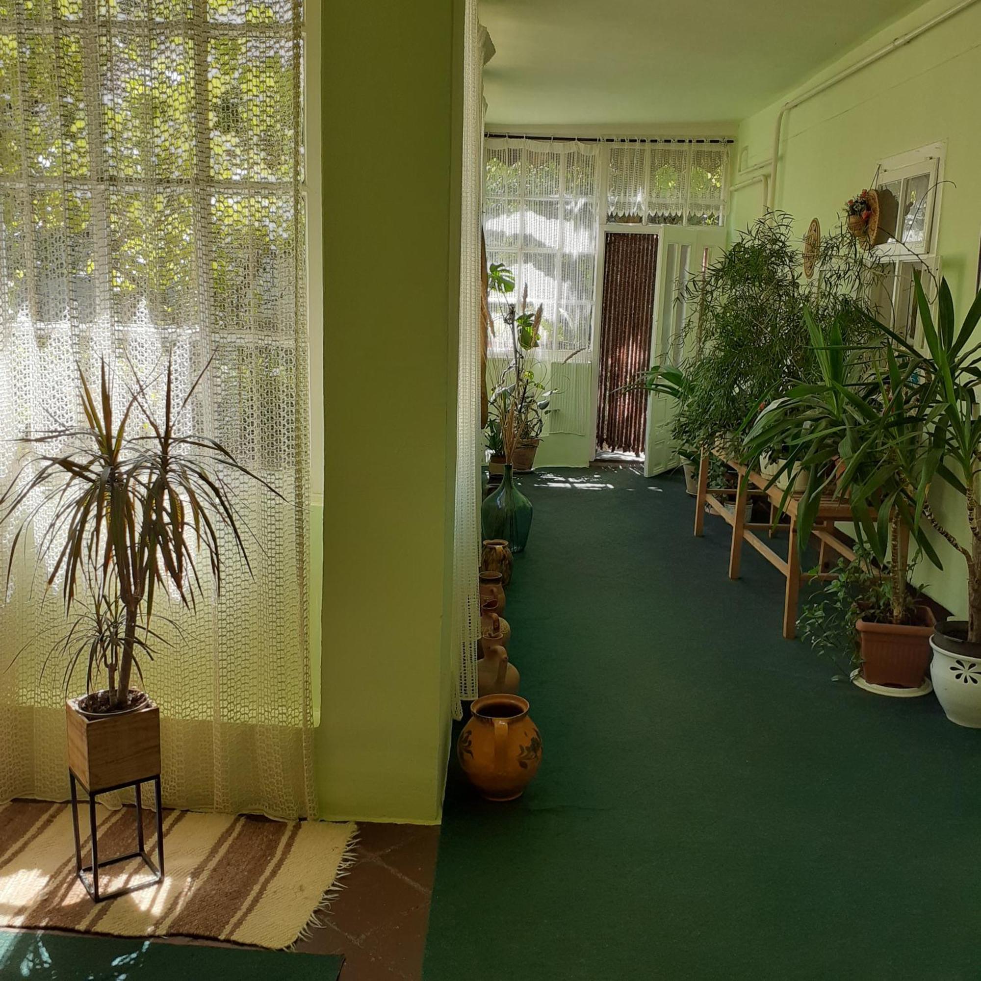 Marika Vendeghaz Apartment Abadszalok Exterior photo